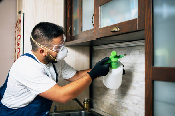 Best Affordable Pest Control Services  in Hermosa Beach, CA