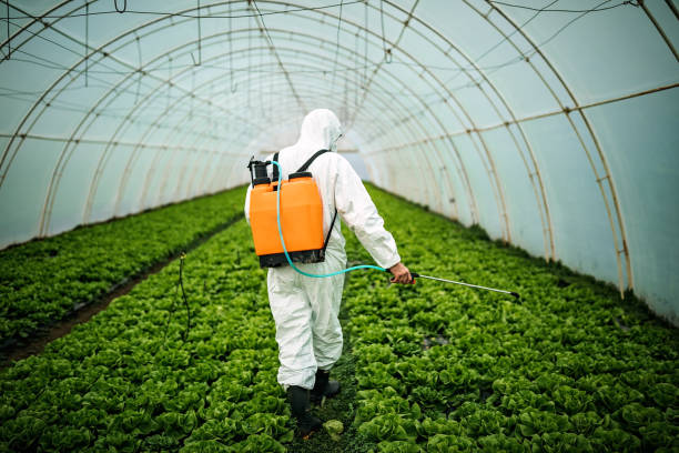 Best Commercial Pest Control Services  in Hermosa Beach, CA