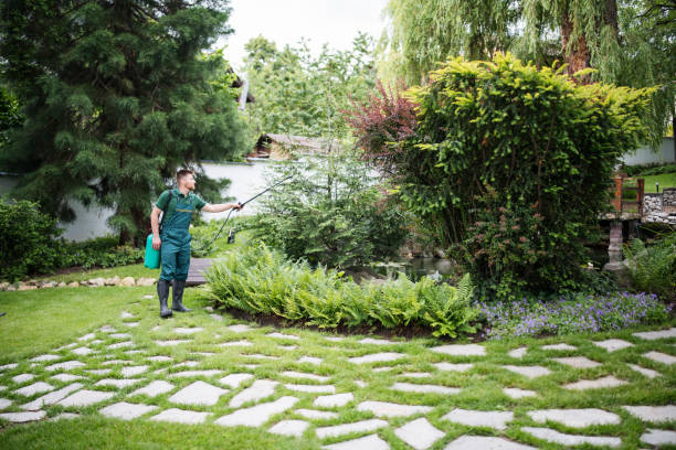 Best Pest Inspection Near Me  in Hermosa Beach, CA