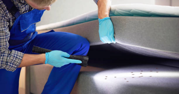 Best Pest Removal Services  in Hermosa Beach, CA