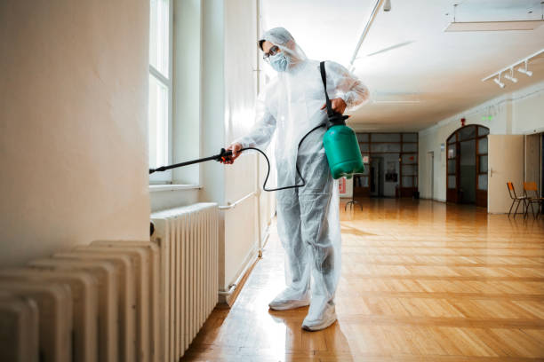 Best Flea Control Services  in Hermosa Beach, CA