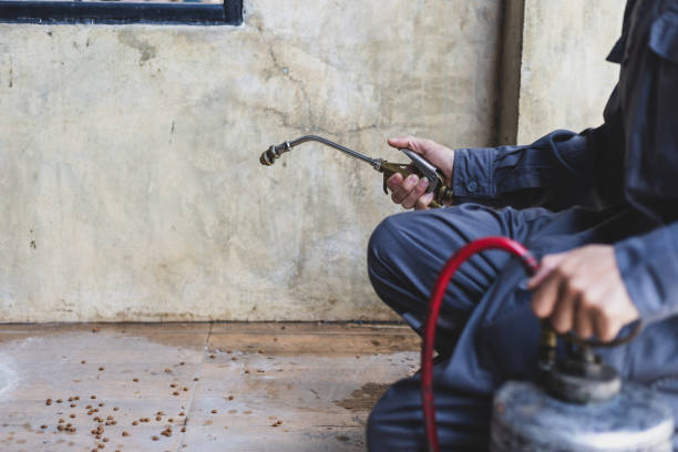 Best Best Pest Control Companies  in Hermosa Beach, CA